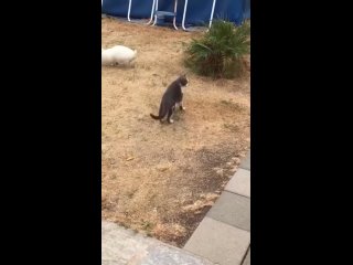 video from @videfunny | @videfunny