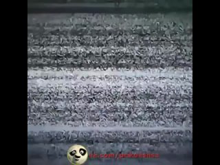 this flew by | @videfunny