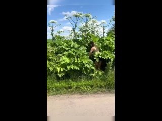 does not know about the consequences at all | @videfunny