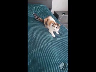 video from @videfunny | @videfunny