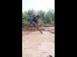 obviously go to the plant | @videfunny