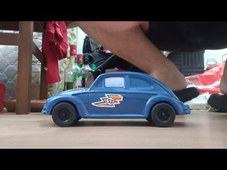 100kg vs toy beetle