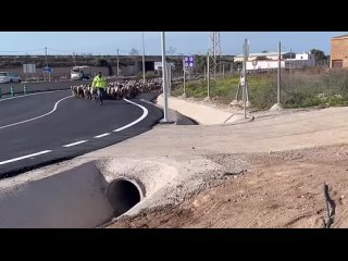 video from pro humor / bayan | @videfunny