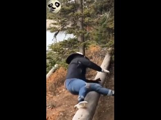 flying gait ... | @videfunny