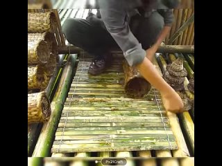video from pro humor / bayan | @videfunny