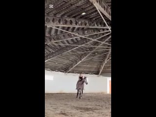 video from pro humor / bayan | @videfunny