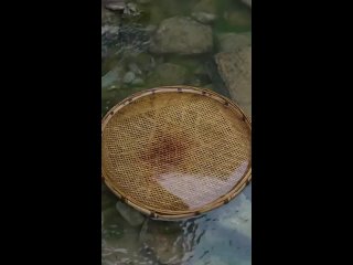 video from pro humor / bayan | @videfunny