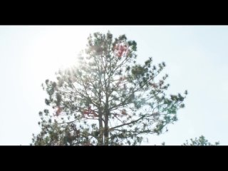 [himerostv] - parachute - (jack bailey noah way) teen