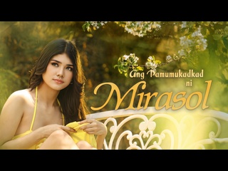 sunflower flowering / angel pamumukadkad ni mirasol (2025) 4k
