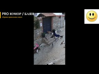 video from pro humor / bayan | @videfunny