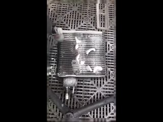 video from pro humor / bayan | @videfunny