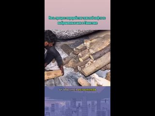 video from pro humor / bayan | @videfunny