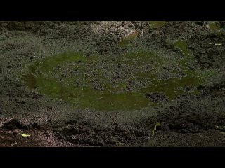 video by conor dunn