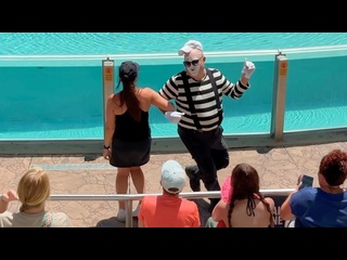 i can't stop watching tom mima - [eryka travel]