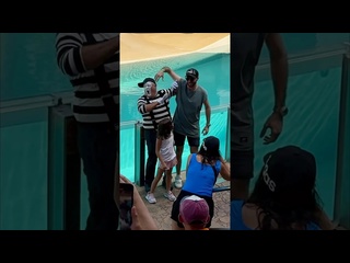 i did not expect this volume, the compilation of mime seaworldmime tomthememe - [eryka travel]