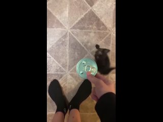 video from @videfunny | @videfunny