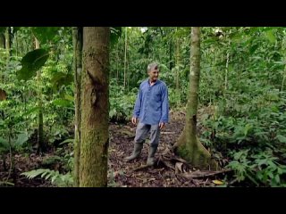 great geographical discoveries 4. the appearance of the earth