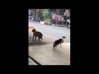 video from @videfunny | @videfunny