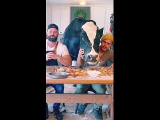 clip @ vidio4 | @videfunny