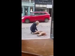 i gave the owner :) | @videfunny