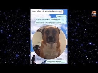 video slices no. 36