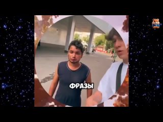 video slices no. 37