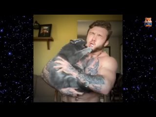 video cutting no. 26