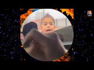 video cutting no. 29